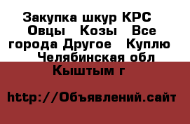 Закупка шкур КРС , Овцы , Козы - Все города Другое » Куплю   . Челябинская обл.,Кыштым г.